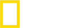 National Geographic Logo - Iconic Yellow Rectangular Frame Representing a Window to the World's Stories on Nature, Science, Culture, and Adventure